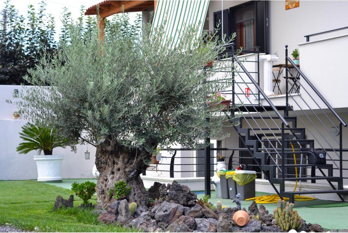 Pompei Gryllus Bed & Breakfast Ngoại thất bức ảnh